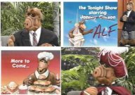 ALF serie tv completa anni 80