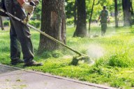 Domestico  e  giardiniere  tuttofare  economico  .