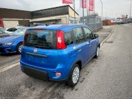 FIAT Panda 1.0 FireFly S&S Hybrid 5 POSTI