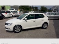 SKODA Fabia 1.4 TDI 90 CV AUTOCARRO N1 4 POSTI