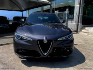 ALFA ROMEO Stelvio 2.2 T.diesel 160CV AT8 RWD Bus.