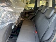 FIAT Panda 1.0 FireFly S&S Hybrid Pandina