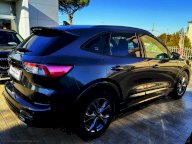 FORD Kuga 1.5 EcoBlue 120 CV 2WD ST-Line