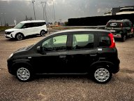 FIAT Panda 1.0 FireFly S&S Hybrid 5 POSTI