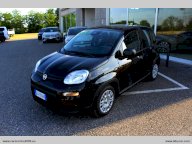 FIAT Panda 1.0 FireFly S&S Hybrid Pandina