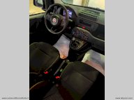 FIAT Panda 1.0 70 CV Hybrid Pandina