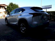 LEXUS NX Hybrid 4WD Luxury