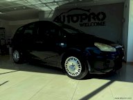 FORD C-Max+ 1.6 TDCi 110 CV DPF