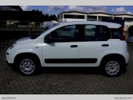 FIAT Panda 1.0 GSE Hybrid Street Van 4 p.ti