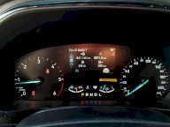 FORD Focus 1.5 EcoBlue 115 aut.5p.POWERSHIFT ST-Line
