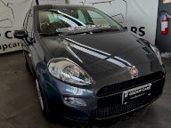 FIAT PUNTO STREET 5P