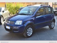 FIAT Panda 1.2 4x4