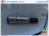 FORD Fiesta 1.0 Ecoboost Hybrid 125 5p. Tit.