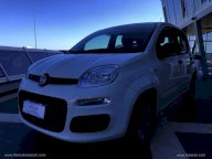 FIAT Panda 1.3 MJT 95 CV S&S Easy