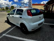 FIAT Punto 1.2 8V 5p. Lounge