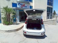 FIAT Panda Cross 1.0 FireFly S&S Hybrid
