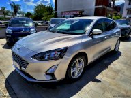 FORD Focus 1.5 EcoBlue 120CV 5p. Business