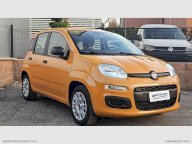 FIAT Panda 1.2 EasyPower Easy