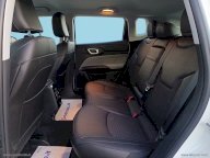 JEEP Compass 1.6 Mjt II 2WD Business