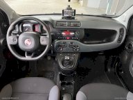 FIAT Panda 1.3 MJT 95 CV S&S 4x4