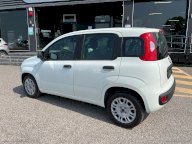 FIAT Panda 1.3 MJT S&S Easy Van 4 posti