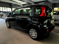 FIAT Panda 1.0 FireFly S&S Hybrid Icon