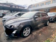 FORD Focus 1.5 EcoBlue 120CV 5p. Business