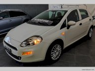 FIAT Punto 1.2 8V 5p. Easy