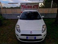 FIAT Punto 1.3 MJT II 75 CV 3p. Easy