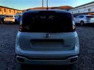FIAT Panda Cross 1.0 FireFly S&S Hybrid