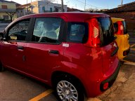 FIAT Panda 1.0 FireFly S&S Hybrid Pandina