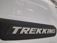 FIAT Doblò 1.6 MJT 120 CV Trekking