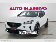 CUPRA Formentor 2.0 TSI 190CV 4Drive DSG