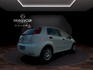FIAT Punto 1.3 MJT II 75 CV 5p. Street