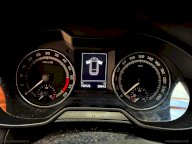 SKODA Octavia 2.0 TDI CR 150CV 4x4 Wagon Scout