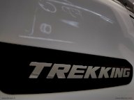 FIAT Doblò 1.6 MJT 120 CV Trekking