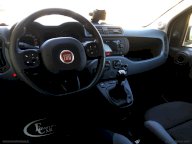 FIAT Panda 1.3 MJT 95 CV S&S 4x4 ELD