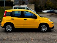 FIAT Panda 1.0 FireFly S&S Hybrid Pandina