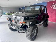 JEEP Wrangler 4.0 Hard top SHARA