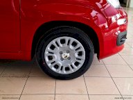 FIAT Panda 1.0 FireFly 70CV Hybrid MY25