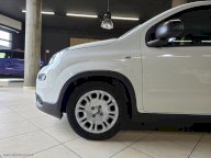 FIAT Panda 1.0 FireFly S&S Hybrid Pandina