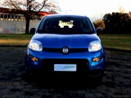 FIAT Panda 1.0 Hybrid Sport NOLEGGIO BREVE TERMINE