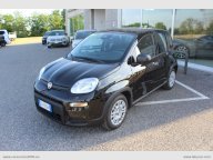 FIAT Panda 1.0 FireFly S&S Hybrid Pandina