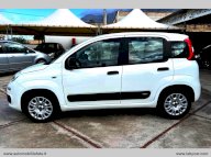 FIAT Panda 1.3 MJT 95 CV S&S Easy