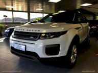 LAND ROVER RR Evoque 2.0 TD4 150 CV 5p. Pure