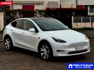 TESLA Model Y RWD