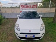 FIAT Punto 1.3 MJT II 75 CV 3p. Easy