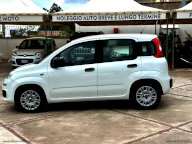 FIAT Panda 1.3 MJT S&S Easy