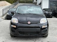 FIAT Panda 1.0 FireFly S&S Hybrid Icon