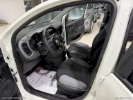FIAT Panda 1.0 GSE Hybrid Street Van 4 p.ti
